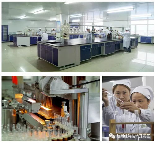 集中簽約，示范區明星企業精彩亮相——精心設計網站助力招商盛會