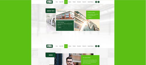 雷士光電官方網站建設項目 構建專業數字門戶，照亮品牌未來