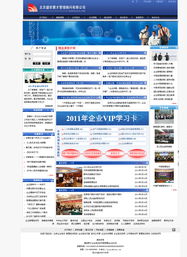 專業網站設計助力企業騰飛 行業網站建設案例解析