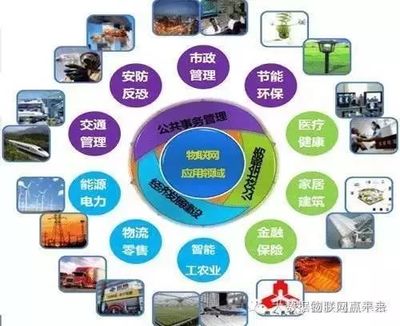 物聯(lián)網(wǎng) 國(guó)家戰(zhàn)略驅(qū)動(dòng)下的技術(shù)革命與產(chǎn)業(yè)未來(lái)